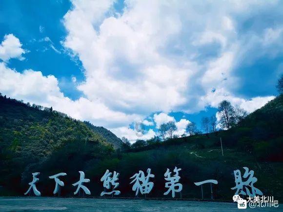 迷失在荒野